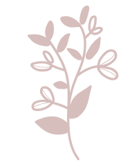 Blumenladen in Darmstadt